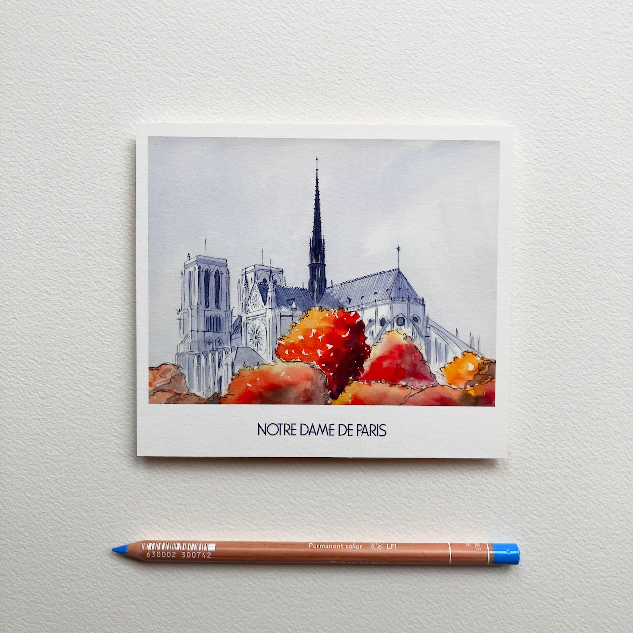 Carte Postale / Notre Dame de Paris (automne)