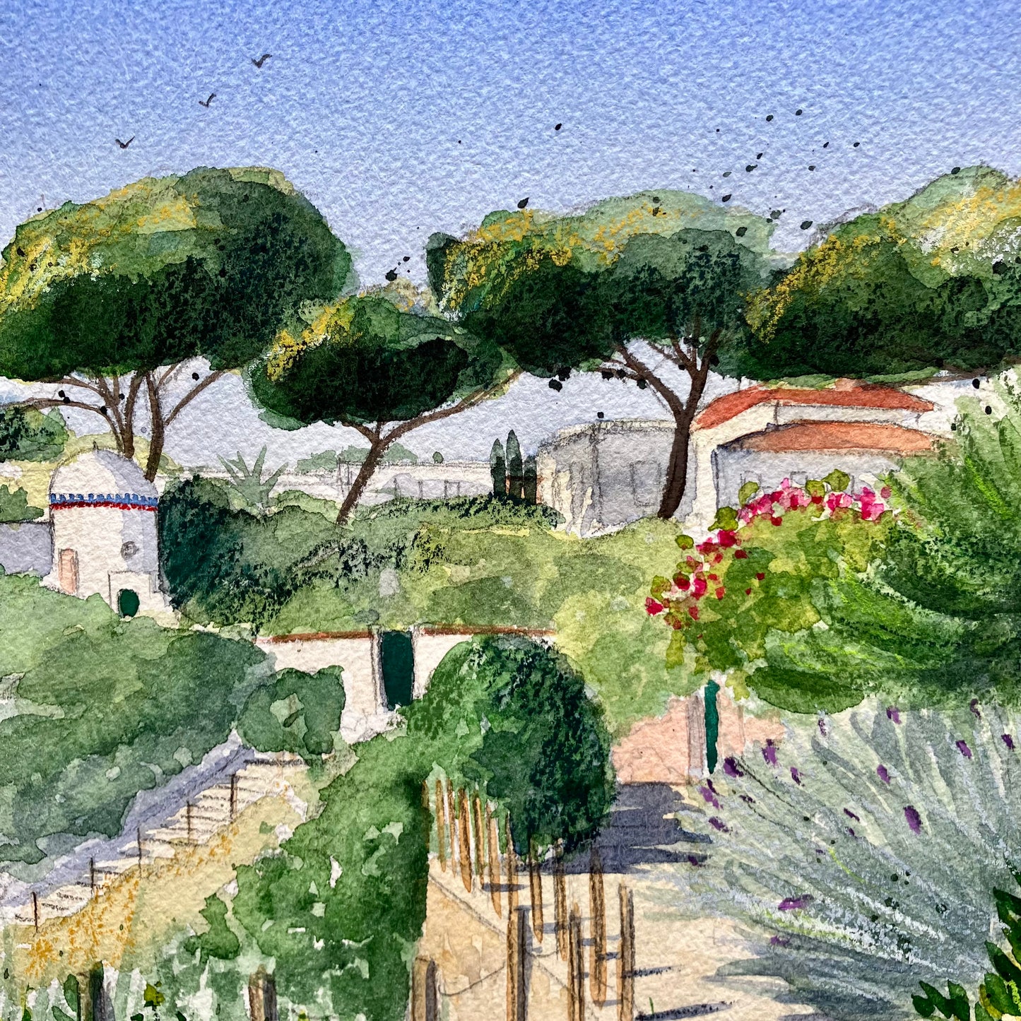 Aquarelle originale / Toulon la Mitre