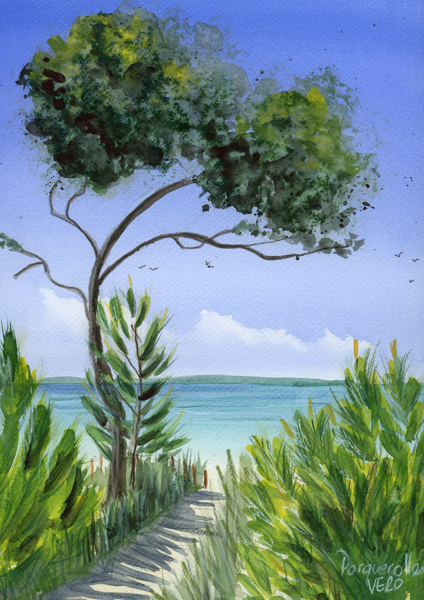 Reproduction A3 / Porquerolles