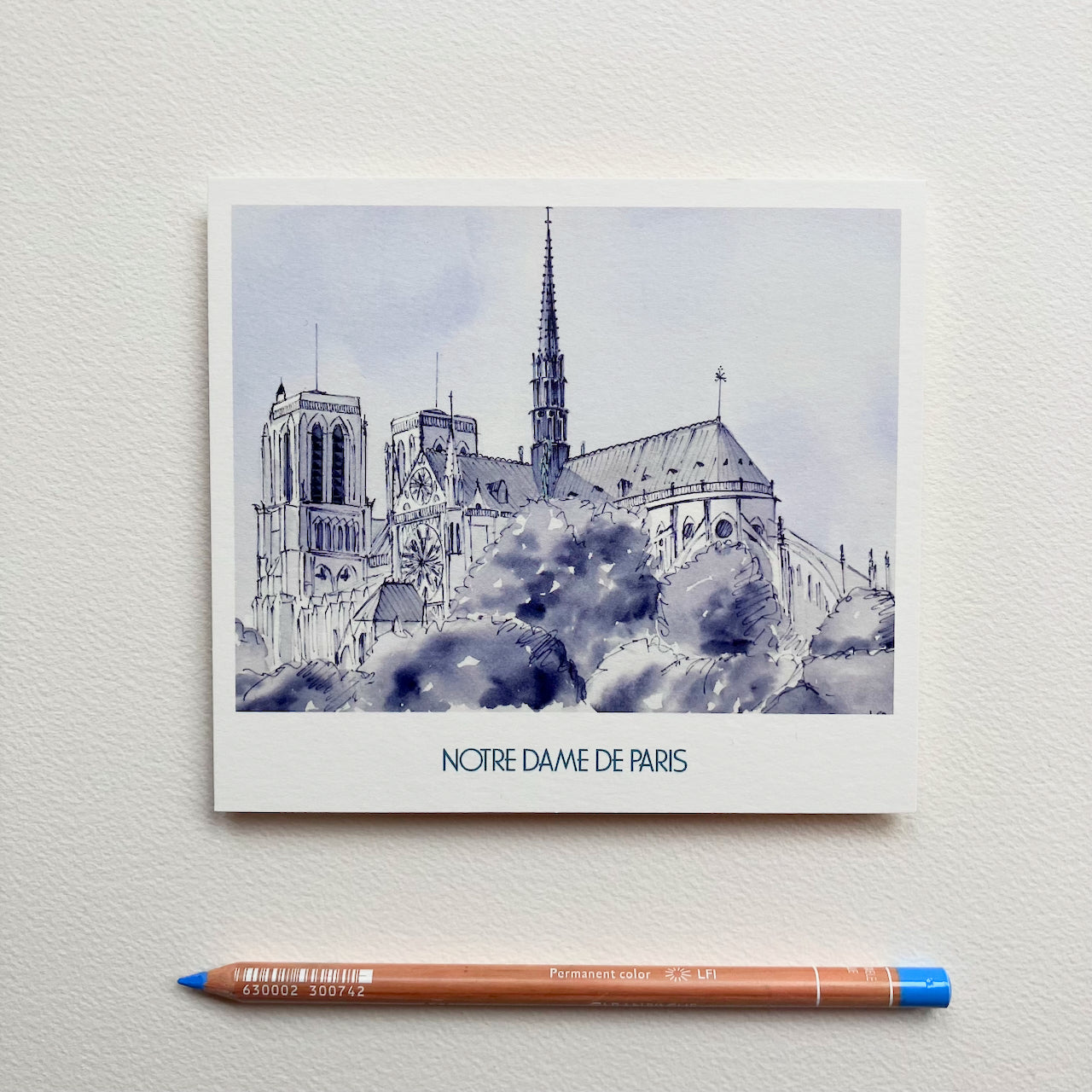 Carte Postale / Notre Dame de Paris