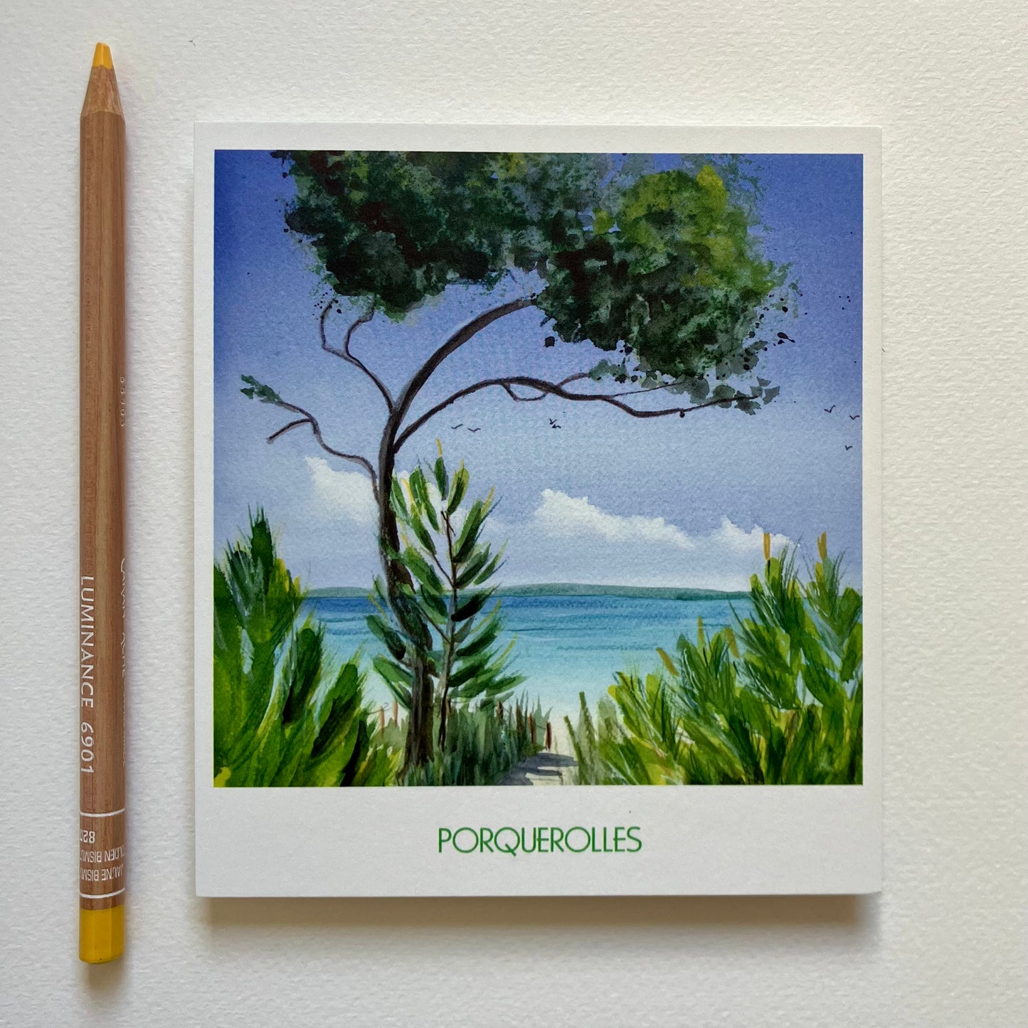 Carte Postale / Porquerolles